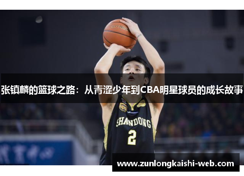 张镇麟的篮球之路：从青涩少年到CBA明星球员的成长故事